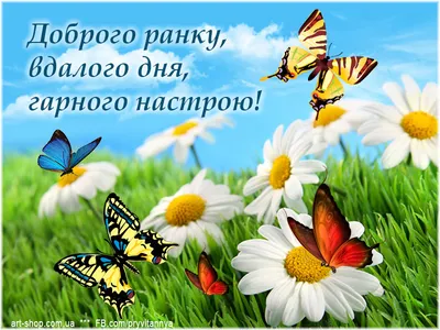 Открытки с добрым утром - скачайте на Davno.ru