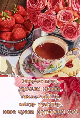 с добрым утром володя хорошего дня｜Поиск в TikTok