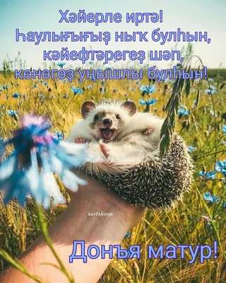хорошего дня на узбекском языке｜Поиск в TikTok