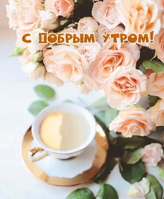 Открытки с добрым утром - скачайте на Davno.ru