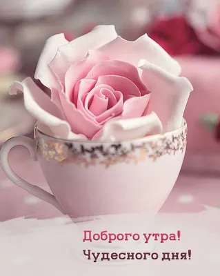 Приветствие на узбекском языке (продолжение): Урок 15