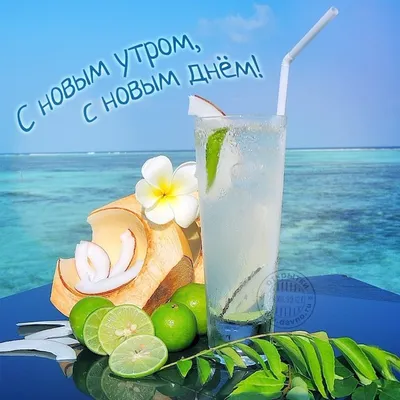 С добрым утром море (77 фото) »
