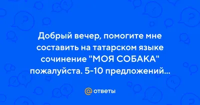 50 основных фраз на татарском