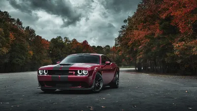Обои dodge charger, передний бампер, логотип картинки на рабочий стол, фото  скачать бесплатно