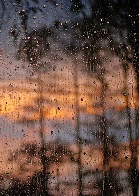 Скачать обои дождь, окно, поручень, rain, window разрешение 1600x900 #4258