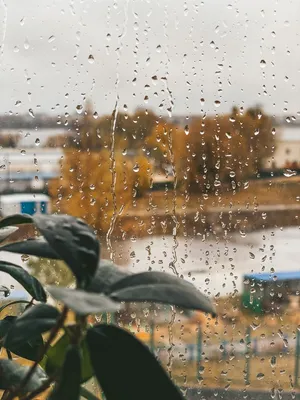 Капли дождя на лобовом стекле автомобиля · Бесплатные стоковые фото