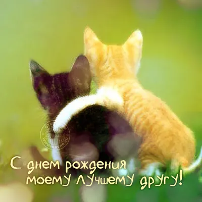 Праздничная, шуточная, мужская открытка с днём рождения другу - С любовью,  Mine-Chips.ru