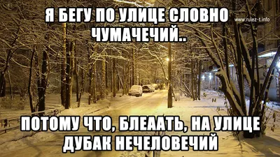 Пока на улице дубак мы уже строим планы на весну. | Пикабу | Дзен