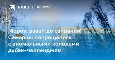 Комсомольская правда - Новосибирск - KP.RU - Ночью был дубак! Сейчас на  улице тоже холодно - около 30 градусов мороза. Что же будет на Новый год?  https://www.nsk.kp.ru/online/news/3718770/ | Facebook