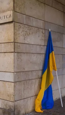 Обои для телефона | Ukrainian art, Ukraine flag, Wallpaper