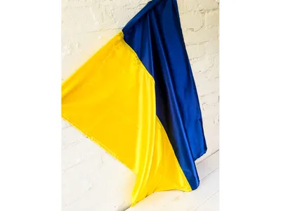 Купить Чехол с патриотическим дизайном (флаг Украины) TPU Print Ukrainian  Flag для iPhone 11 Pro Max в Львове от компании \"AppExpert\" - 1670713859