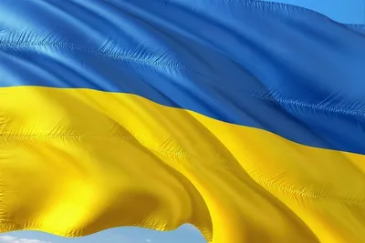 Патриотический чехол для iPhone 8 - Флаг и Герб Украины — купить в интернет  магазине | Цена | Киев, Одесса, Харьков, Днепр