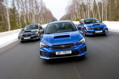 Много красных гоночных автомобилей - обои на рабочий стол