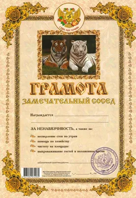 Красивый шаблон грамоты на 23 февраля — Шаблоны для печати