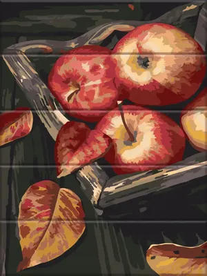Яблоня 🍎