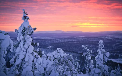 Обои для рабочего стола от National Geographic за январь 2013 »  BigPicture.ru