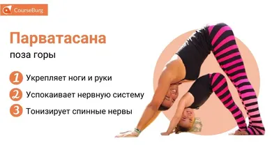 Йога VS пилатес: что выбрать и какова польза каждой активности