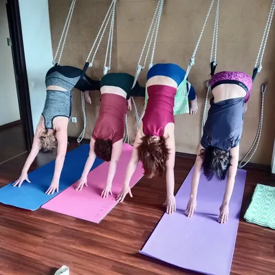 Мат для йоги Yoga mat 1065/1, фиолетовый - купить в Баку. Цена, обзор,  отзывы, продажа