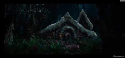 Охотники на ведьм / Hansel and Gretel: Witch Hunters 3D (2012, фильм) - «В  этом фильме - самые страшные ведьмы! Немножко страстей, драйва и охоты.  Гензель и Гретель - на тройпе войны!» | отзывы