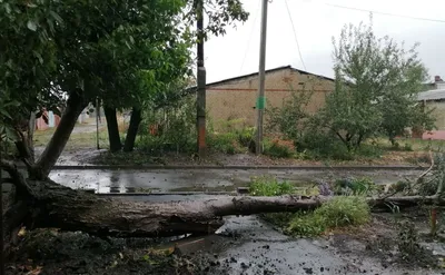 Хозяйка предлагает гостям стекло воды в кухне Стоковое Изображение -  изображение насчитывающей комната, посуду: 84201637