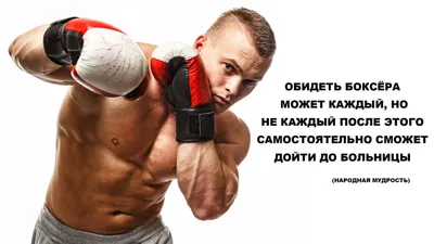 Обои для рабочего стола Мужчины тренируется перчатках Спорт вдвоем