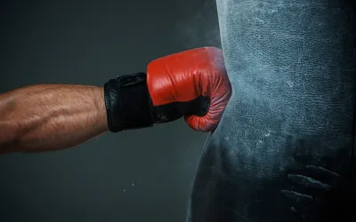 https://ridero.ru/books/kikboksing_life/freeText/
