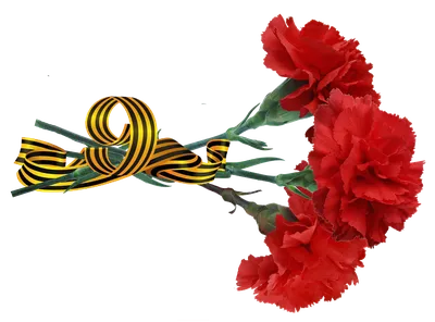 картинки PNG с днем Победы