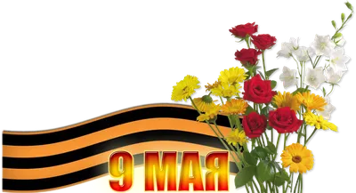 Victory Day 9 May Russia Day Translation, Russia, world, russian, russia  png | PNGWing