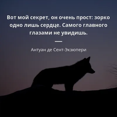 Стихотворение «В душе сидит немного грусти.», поэт KUTS NIKOLA