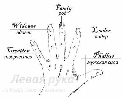 Обручальные кольца на пальцах Стоковое Фото - изображение насчитывающей  церемония, включено: 34667394