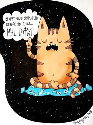 Кот Носок - что за мем с котом, которого везде находят в Тик Токе
