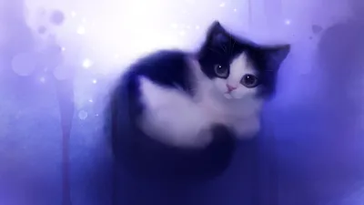 Нарисованый белый котенок - обои на телефон