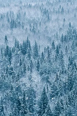 Топ-10 самых красивых мест на Земле | LifeNews | Дзен