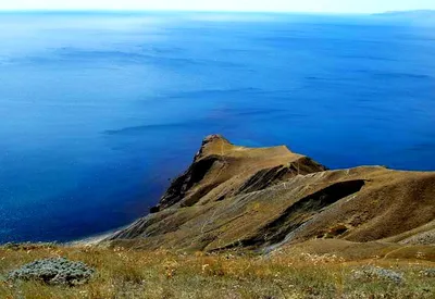 Зеленая бухта черное море - 63 фото