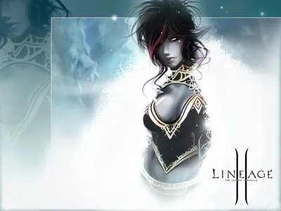 Обои Видео Игры Lineage II: The Chaotic Throne - Interlude, обои для рабочего  стола, фотографии видео, игры, lineage, ii, the, chaotic, throne, interlude  Обои для рабочего стола, скачать обои картинки заставки на
