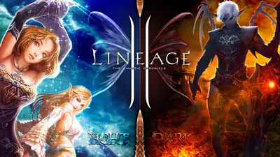 Download wallpaper night, darkness, power, magic, the game, people, sword,  lineage 2, section games in resolution 960x800