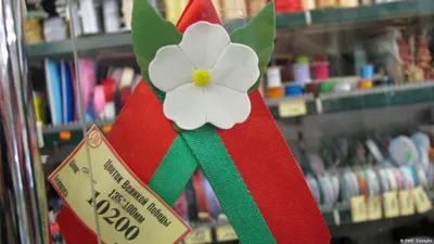 В Беларуси к 9 мая георгиевские ленточки заменят на цветы - Delfi RU