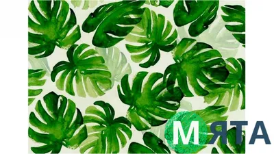 Сушеные листья пальмы Декор для комнаты 5 штук-18 дюймов H x 10 дюймов W  большой натуральный декор для пальмовых листьев для красивого богемного  образа | AliExpress