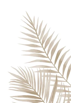 Обои с изображением листьев пальмы для спальни, тропического леса, дерева,  банана, Листьев, украшения для гостиной и столовой | AliExpress