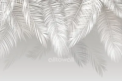 Большие зеленые листья пальмы Стоковое Фото - изображение насчитывающей  кусты, бобра: 104139034