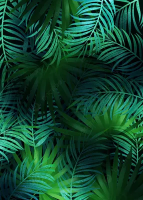 Зелёные листья пальмы хаотично …» — создано в Шедевруме