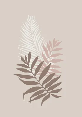 Листья пальмы-2. Обои на заказ - печать бесшовных дизайнерских обоев для  стен по своему рисунку