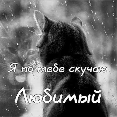 Картинки красивые о любви к мужчине на расстоянии (66 фото) » Юмор, позитив  и много смешных картинок