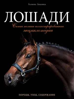 Подарок на Новый год \"Щелкунчик-король на лошади\" - купить Сувенир по  выгодной цене в интернет-магазине OZON (328514652)