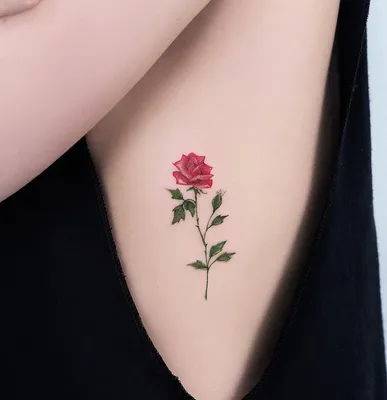 Tattooshka - Временное тату \"Маленькие веточки\": купить по лучшей цене в  Украине | Makeup.ua