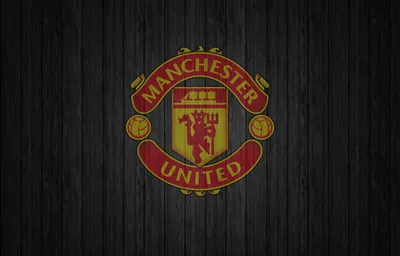Обои на рабочий стол Paul Pogba / Поль Погба, французская звезда футбола,  игрок Манчестер Юнайтед, обои для рабочего стола, скачать обои, обои  бесплатно