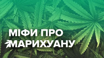 Лист конопли – купить по низкой цене (1390 руб) у производителя в Москве |  Интернет-магазин «3Д-Светильники»