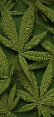 https://dzen.ru/a/ZZrwtUHWu2wkC9MS