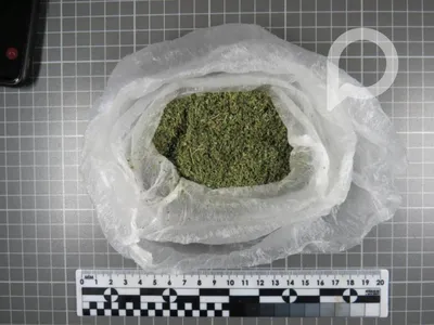Нашли новые негативные последствия употребления марихуаны - Здоровье 24