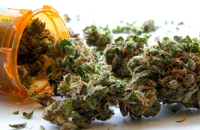 37-й штат: Миссисипи легализует медицинскую марихуану - MyCannabis.com